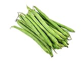 Burpee Stringless Green Bean Seeds, 50 Heirloom Seeds Per Packet, Non GMO Seeds, (Isla's Garden Seeds), Botanical Name: Phaseolus vulgaris, 85% Germination Rates photo / $5.99 ($0.12 / Count)