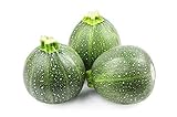 Round Zucchini Summer Squash Seeds, aka: Eight Ball Zucchini, 40 Heirloom Seeds Per Packet, Non GMO Seeds, Botanical Name: Cucurbirta pepo, Isla's Garden Seeds photo / $5.89 ($0.15 / Count)