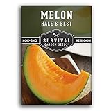 Survival Garden Seeds - Hale's Best Melon Seed for Planting - Grow Juicy Cantaloupe for Eating - Packet with Instructions to Plant in Your Home Vegetable Garden - Non-GMO Heirloom Variety photo / $4.99