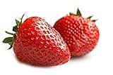 MOCCUROD 150pcs Giant Strawberry Seeds Evergreening Plant Fruit Seeds Sweet and Delicious photo / $7.99 ($0.05 / Count)