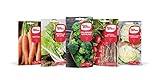 Eurogarden - Pack Semillas Otoño Invierno. Surtido de 5 variedades de semillas para plantar en tu huerto. Brócoli, Acelga, Zanahoria, Rabanito y Lechuga foto / 10,95 €