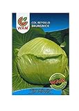 Semillas de COL BRUNSWICK WAM - Sobre con 8 gr. foto / 2,10 €