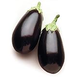 David's Garden Seeds Eggplant Night Shadow (Purple) 25 Non-GMO, Hybrid Seeds photo / $3.45