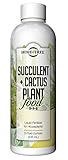 Succulent and Cactus Plant Food by Home + Tree - Every Bottle Sold Plants A Tree photo / $14.97