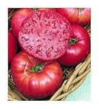 75+ Mortgage Lifter Tomato Seeds- Heirloom Variety- by Ohio Heirloom Seeds photo / $5.79