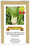 Baby Pak Choi - Mini Pak Choi - Misome - Winterhart - 150 Samen foto / 1,95 € (0,01 € / stück)