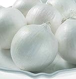 David's Garden Seeds Onion Short-Day White Castle 3283 (White) 200 Non-GMO, Hybrid Seeds photo / $4.45