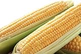 Golden Jubilee Yellow Sweet Corn Seeds, 30+ Seeds Per Packet, (Isla's Garden Seeds), Non GMO & Heirloom Seeds, Botanical Name: Corn Zea mays photo / $5.99 ($0.20 / Count)