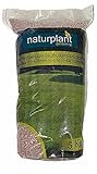 NATURPLANT Abono Especial Césped, Rojo, 5 Kg foto / 16,95 €