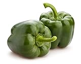 California Wonder 300 TMR Bell Pepper Seeds, 100+ Heirloom Seeds Per Packet, Non GMO Seeds, Botanical Name: Capsicum annuum, Isla's Garden Seeds photo / $6.99 ($0.07 / Count)