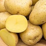 Yukon Gold Seed Potato - Best Early Eating Potato on The Market - Includes one 2-lb Bag - Can't Ship to States of ID, ME, MT, or NE photo / $16.99 ($1.70 / Count)