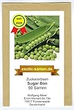 Zuckererbse - Sugar Bon - 50 Samen foto / 1,80 €