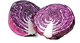 600 Red Acre Cabbage Seeds | Non-GMO | Fresh Garden Seeds photo / $6.95