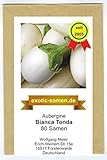 Aubergine - weiß - rund - italienisch - mittelfrüh - Bianca Tonda - 80 Samen foto / 2,39 €