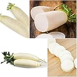 300 Piezas Semillas De Rábano Blanco Fresh Heirloom Vegetales Anuales Para Principiantes Y Jardineros Profesionales Plantación Fácil De Cosechar foto / 4,99 €