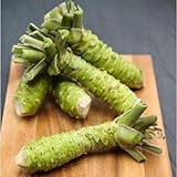 50pcs / lot, semillas, wasabi, semillas de rábano picante japonés Bonsai de plantas del jardín de DIY foto / 3,99 €