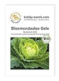 BIO-Kohlsamen Bloemendaalse Gele Butterkohl Portion foto / 2,45 €