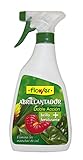 Flower 40562 - Abrillantador Doble acción, 500 ml foto / 7,99 €