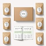 Sprouty | Set de semillas germinadas para tarro de germinación + libro de germinación | Pack de recambio | Alfalfa, brócoli, rábano, lenteja, trigo sarraceno, judías mungo foto / 34,99 €