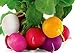 photo Colorful Radish Seed Mix Easy to Grow Vegetable Garden Seeds for Planting About 50 Seeds