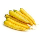 Mello Yellow Carrot Seeds, 100 Seeds Per Packet, Non GMO Seeds, Botanical Name: Daucus carota, Isla's Garden Seeds photo / $5.98 ($0.06 / Count)