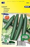 Pepino Louisa F1 Semillas foto / 5,79 €