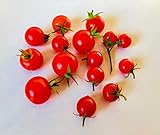 Mexikanische Honigtomate 10 Samen -Zuckersüß- ***Momentan teuersten Tomaten-Sorten*** foto / 2,39 € (0,24 € / stück)