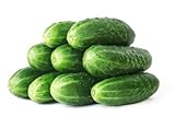 50 Straight Eight Cucumber Seeds - Heirloom Non-GMO USA Grown Vegetable Seeds for Planting - Pickling and Slicing Cucumber photo / $4.99 ($0.10 / Count)