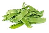 Oregon Giant Snow Pea Seeds photo / $5.49