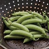 David's Garden Seeds Pea Snap Sugar 3155 (Green) 100 Non-GMO, Heirloom Seeds photo / $3.45