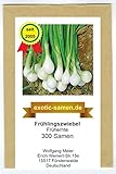 Frühlingszwiebel - Frühernte (300 Samen) foto / 1,80 €