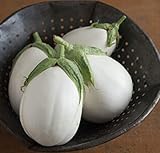 David's Garden Seeds Eggplant Paloma (White) 25 Non-GMO, Hybrid Seeds photo / $3.45