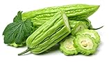 120+ Bitter Melon Gourd Seeds for Planting - Balsam Pear - Momordica charantia Bitter Squash - Heirloom Organic Non-GMO Bitter Gourd Vegetable Seeds for Home Garden/Outdoor photo / $26.23 ($0.22 / Count)