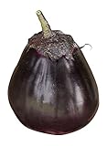 Burpee Meatball Eggplant Seeds 35 seeds photo / $9.61