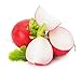 photo Cherry Belle Radish Seeds