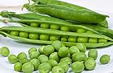 25 Cascadia Pea Seeds | Non-GMO | Heirloom | Fresh Garden Seeds photo / $5.95