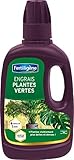 Fertiligène Engrais Plantes Vertes, 400 ML photo / 5,90 € (14,75 € / l)