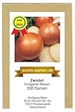 Zwiebel - Stuttgarter Riese (300 Samen) foto / 1,95 €