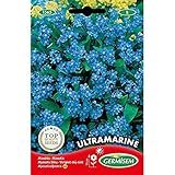 Germisem Ultramarine Alpine Olvidar-Yo-No Semillas de Flor 0.5 g (EC1565) foto / 2,70 €