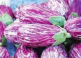 200 Pcs Eggplant Seeds Striped Long Heirloom Vegetable Seed photo / $7.90 ($0.04 / Count)