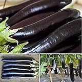 50 Piezas Semillas De Berenjena Berenjena Morada Verduras Saludables Sin OMG Fácil De Plantar Ideal Para Principiantes Y Jardineros Profesionales Decoración De Jardín De Bricolaje foto / 4,99 €