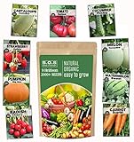 Heirloom Vegetable Seeds -9 Variety - Non GMO Vegetable Seeds for Planting Indoor or Outdoors, Tomato, Carrots, Cantaloupe, Cucumber, Green Honeydew Melon, Pumpkin, Watermelon, Cherry Belle Radish, S photo / $10.90