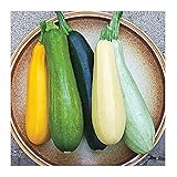 David's Garden Seeds Zucchini Summer Melody 9112 (Multi) 50 Non-GMO, Heirloom Seeds photo / $3.45