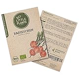 BIO Radieschen Samen, 250 Radieschensamen, hohe Keimrate, 100% Natürlich von Little Plants, BIO Samen Radieschen Cherry Belle für Gemüsegarten, Gemüsebeet, Hochbeet – Saatgut Nachhaltig Verpackt foto / 3,95 €