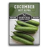 Survival Garden Seeds - Beit Alpha Cucumber Seed for Planting - Pack with Instructions to Plant and Grow Smooth Green Burpless Cucumbers in Your Home Vegetable Garden - Non-GMO Heirloom Variety photo / $4.99