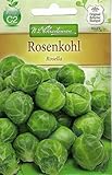 Chrestensen Rosenkohl 'Rosella' mittelfrühe Sorte foto / 1,89 €