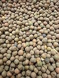 Deer Creek Seed Austrian Winter Pea photo / $26.00