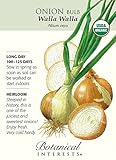 Organic Walla Walla Onion Seeds - 500 mg photo / $2.69