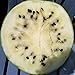 photo Cream of Saskatchewan Heirloom Watermelon (Certified Organic Seeds) by Stonysoil Seed Company