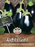 80667 Sperli Premium Aubergine Samen Galine | Frühe Sorte | Ertragreich | Aubergine Saatgut | Auberginen Samen foto / 3,38 €